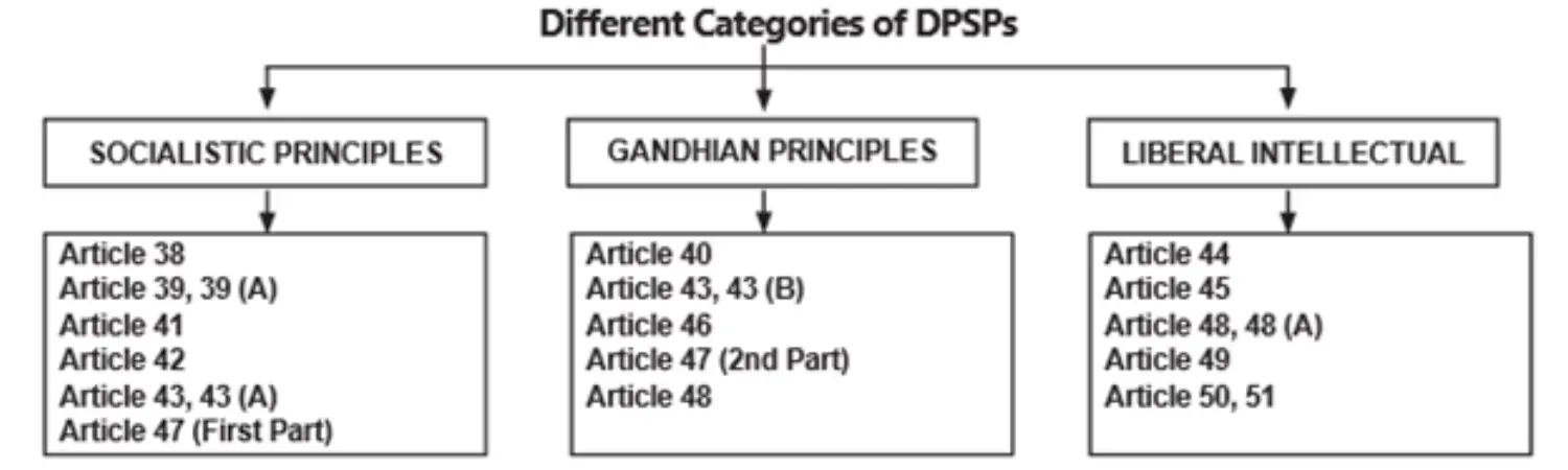 DPSP Divison.png