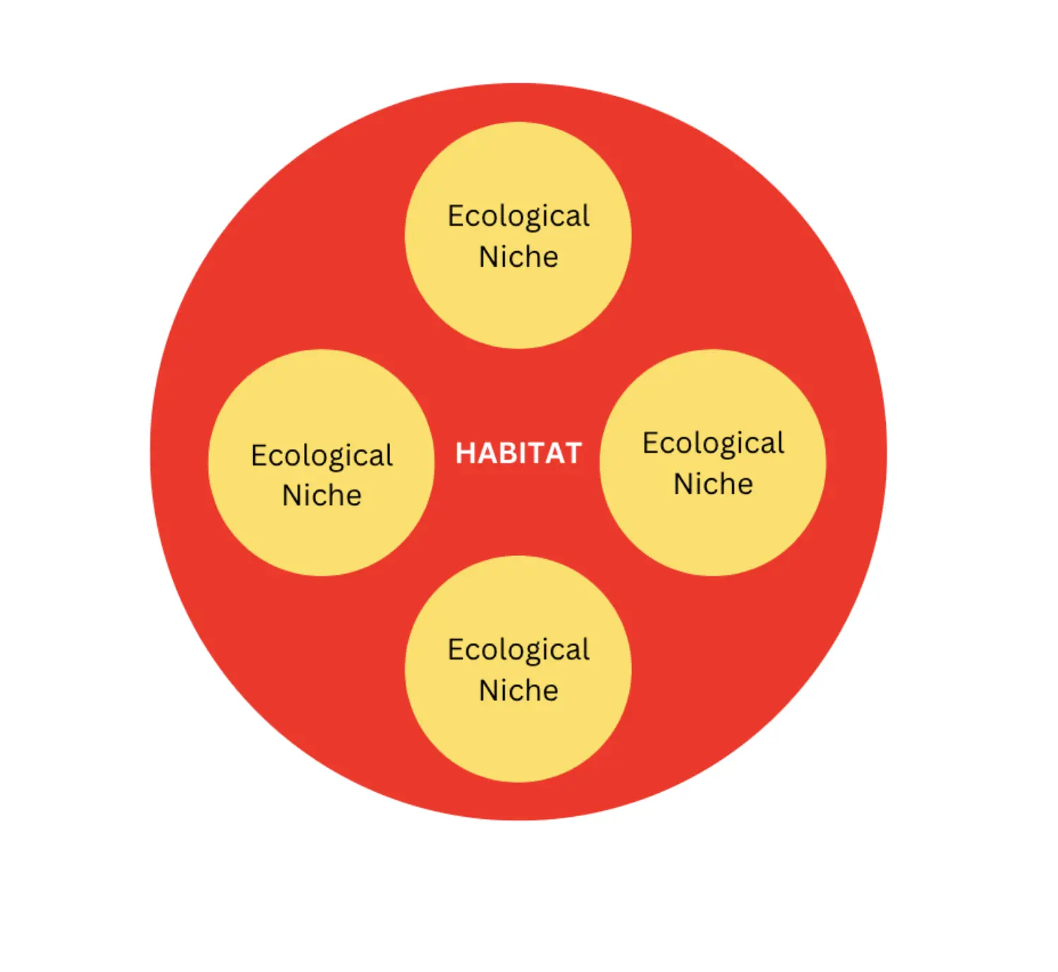 Screenshot 2022-11-09 at 1.35.19 PM.png