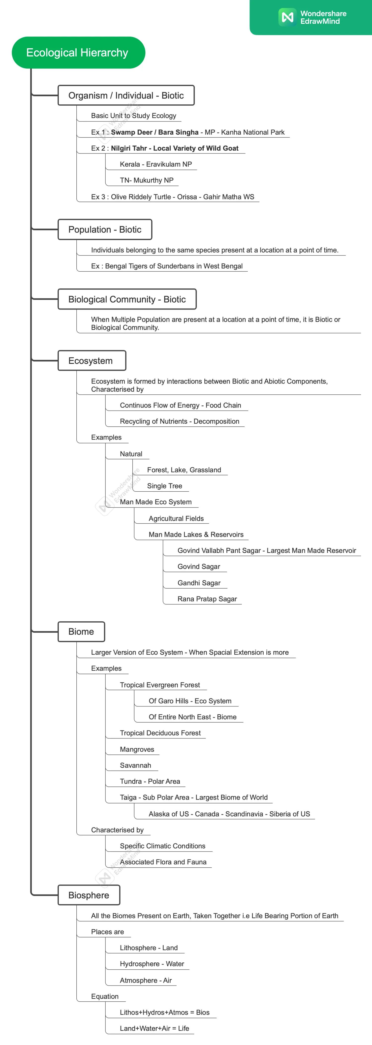 Ecological Hierarchy.png