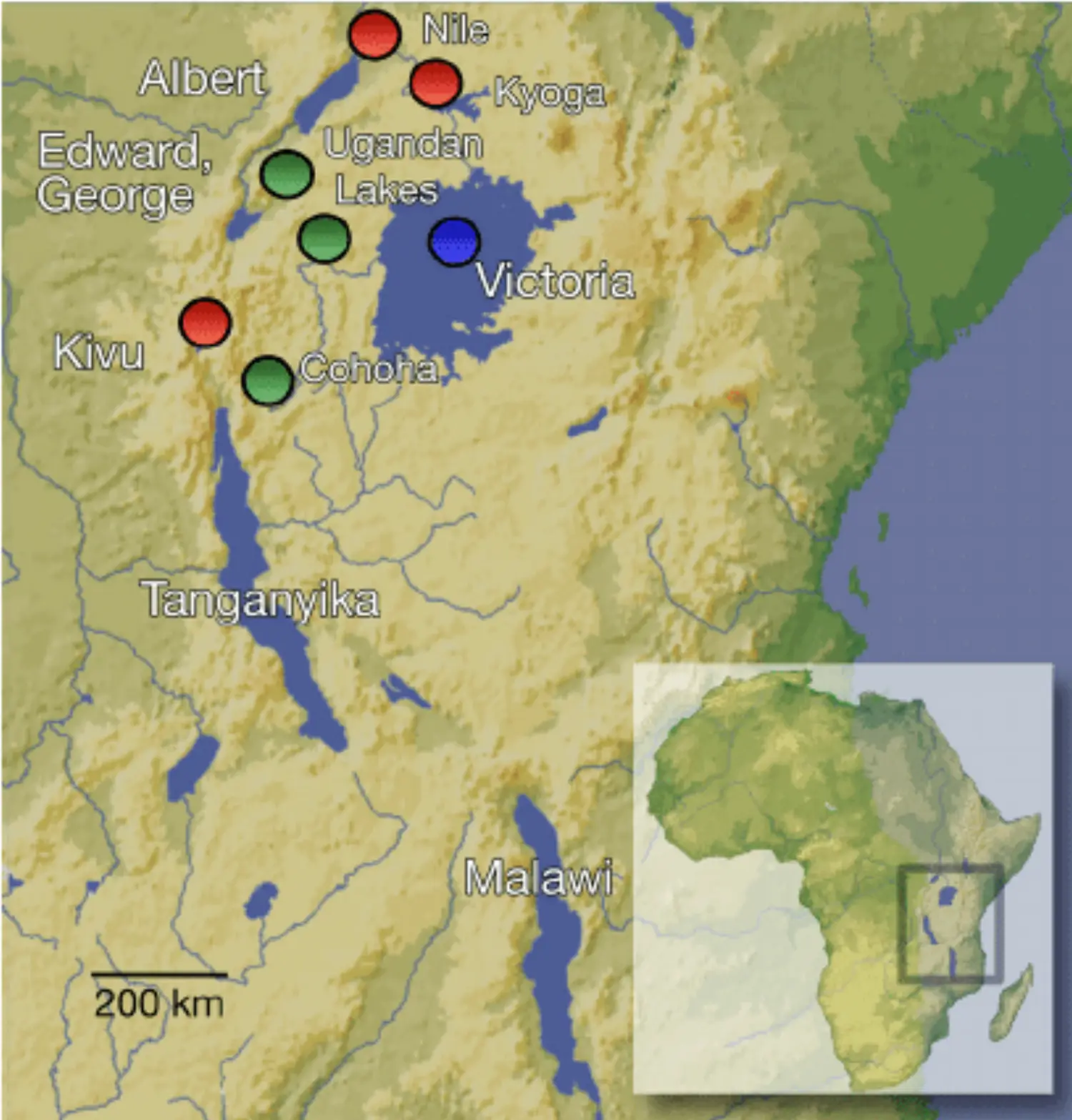The-East-Africa-Rift-Valley-showing-the-Great-Lakes-Victoria-Tanganyika-and-Malawi-as.png
