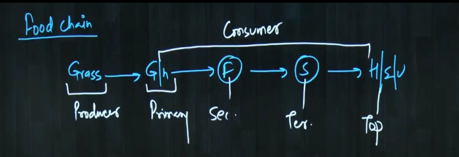 Screenshot 2022-11-10 at 7.27.35 PM.png