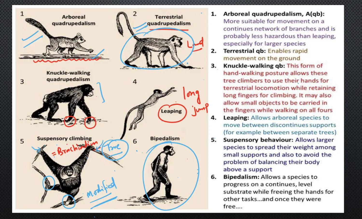 Screenshot 2023-01-13 at 4.43.40 AM.png